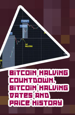 Bitcoin halving price chart