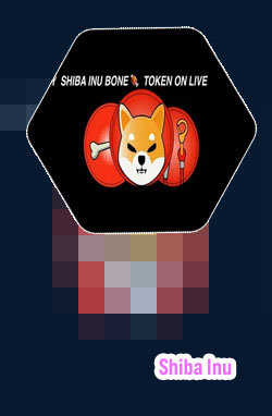 Bone crypto shiba
