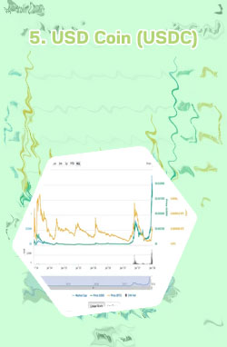 How much is one dogecoin worth in usd